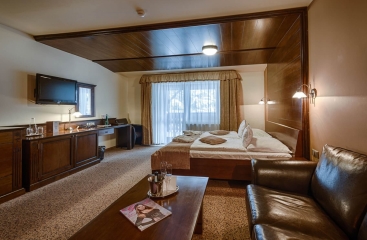 Wellness Hotel Borovica ****