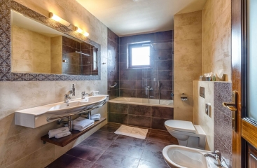 Wellness Hotel Borovica ****