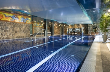 Wellness Hotel Borovica ****
