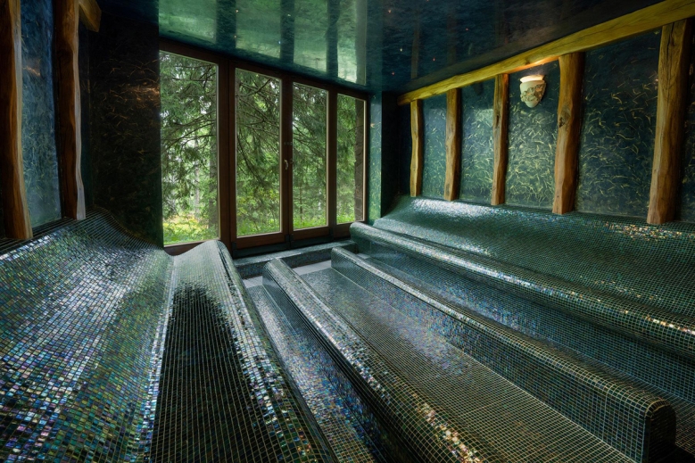 Hotel Wellness Hotel Borovica