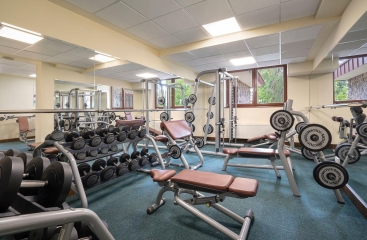 Wellness Hotel Borovica ****