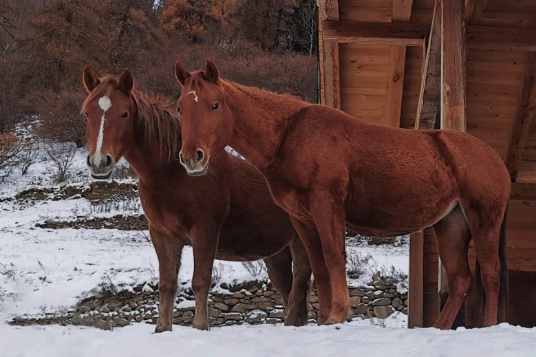 Hotel Hotel Agriturismo Donec 