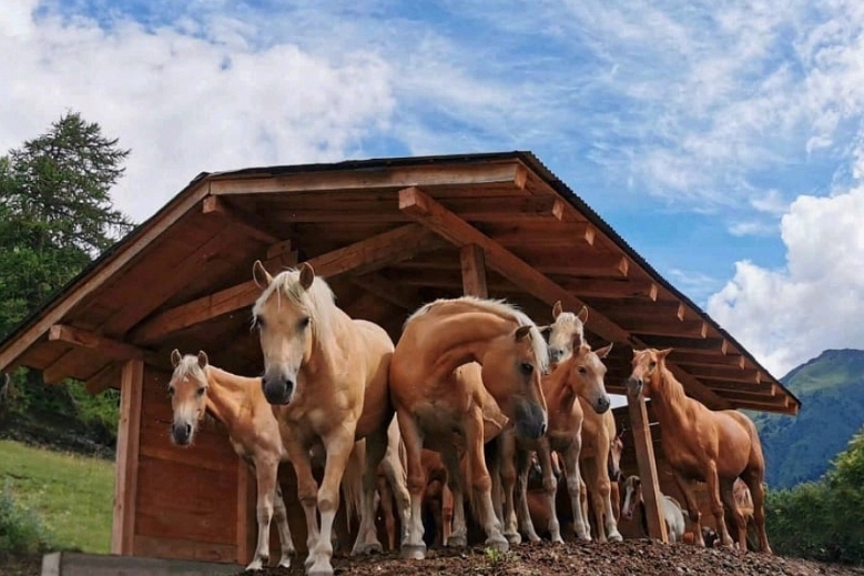 Hotel Hotel Agriturismo Donec 