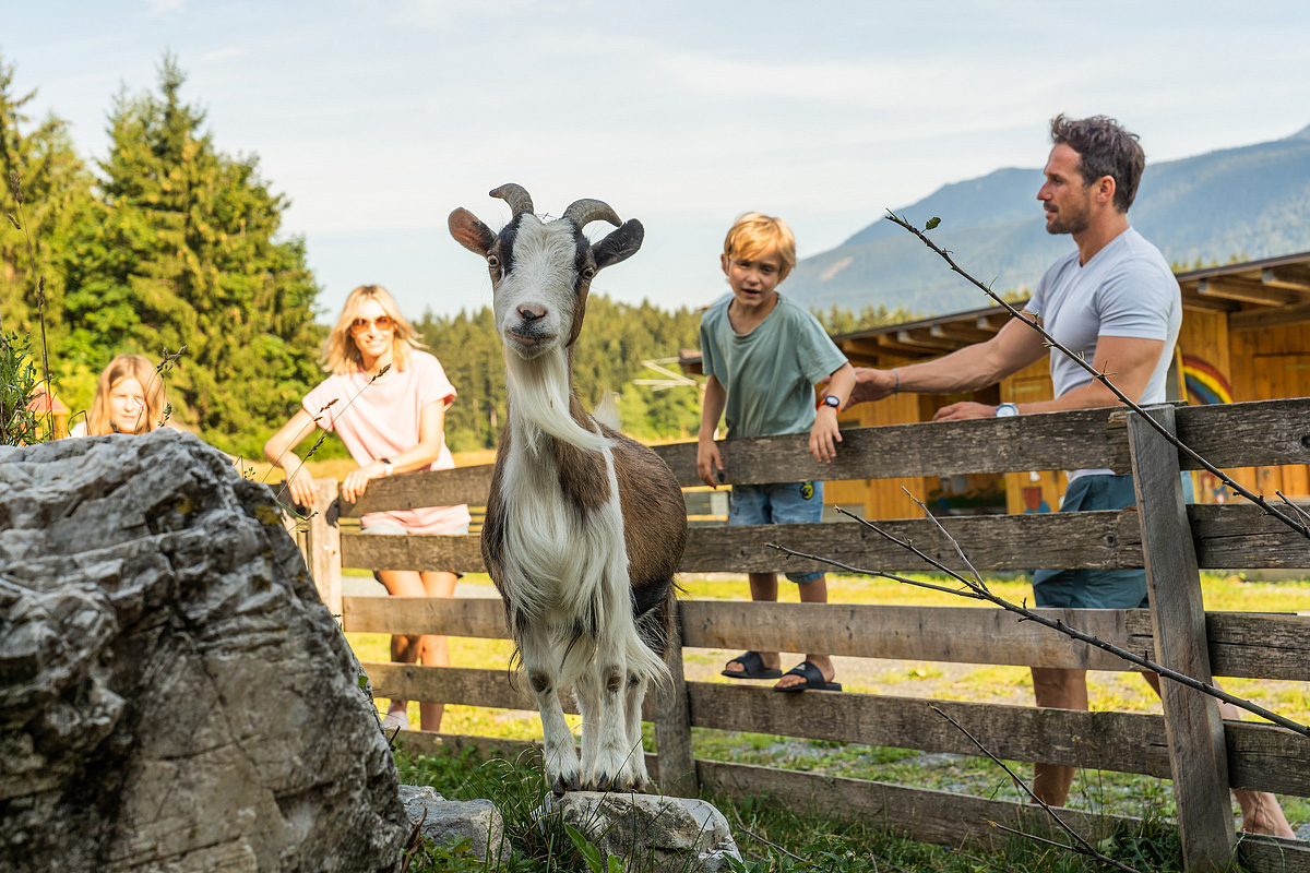 EuroParcs Hermagor Nassfeld 5