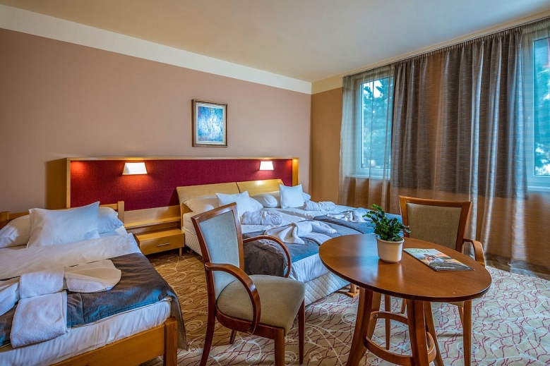 Hotel Hotel Dráva Thermal Resort