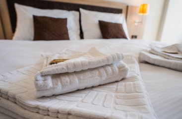 EA Hotel Lipno u ern v Poumav ***