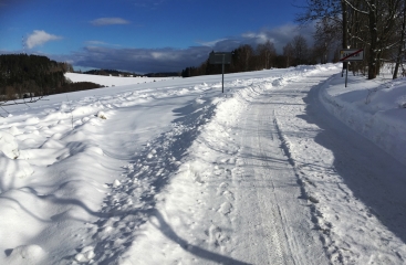 EA Hotel Lipno u ern v Poumav ***