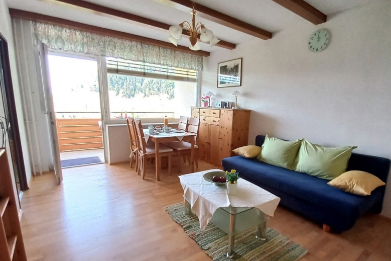 Hotel Apartmány Ossiacher See  se skipasem