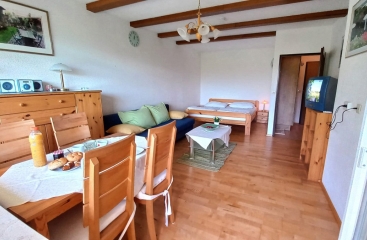 Apartmny Ossiacher See *** se skipasem