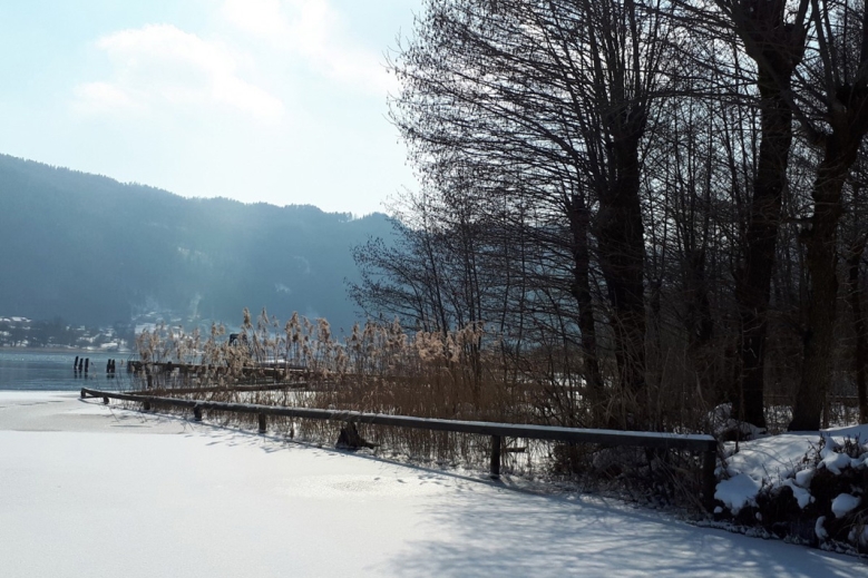 Hotel Apartmány Ossiacher See  se skipasem