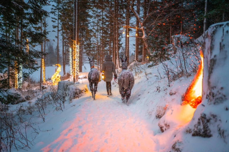 Hotel Hotely Mallnitz SKI OPENING Advent 