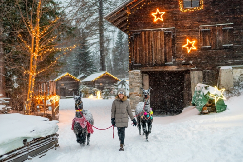 Hotel Hotely Mallnitz SKI OPENING Advent 