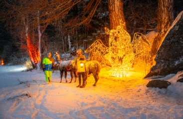 Hotely Mallnitz ski opening Advent ***