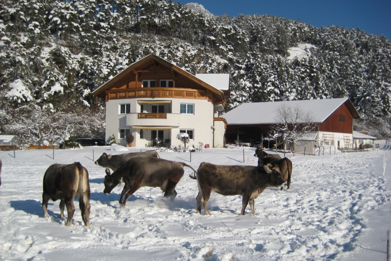 Hotel Apartmánový dům Gundolf Arzl  se skipasem