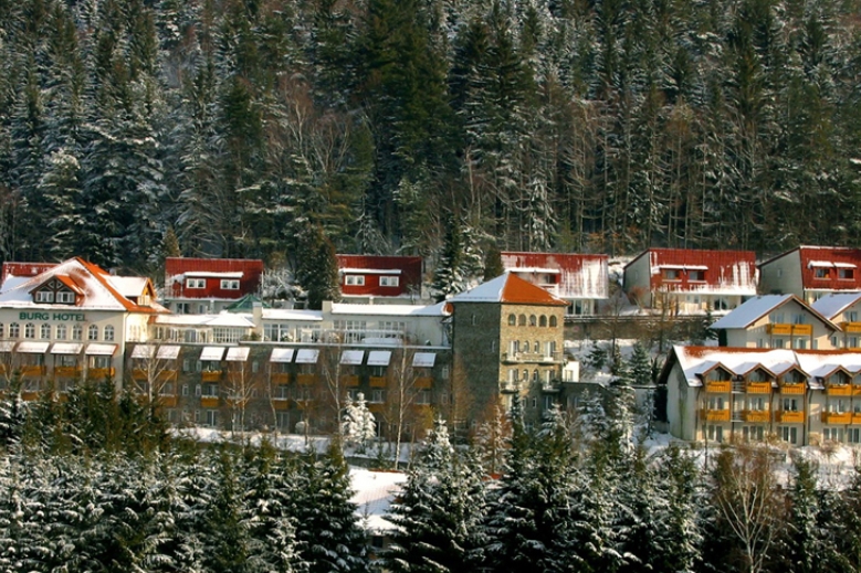 Hotel Donna Burghotel am Hohen Bogen