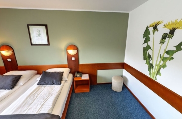 Hotel Tripi se skipasem ***