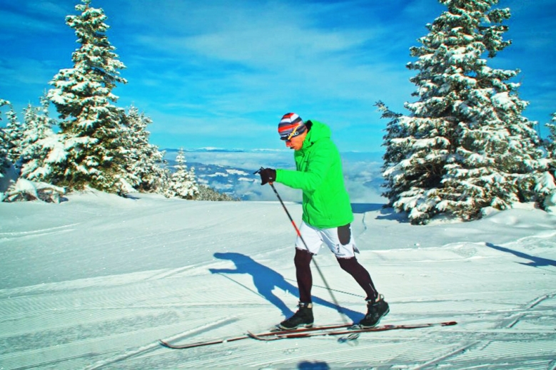 Hotel Hotel Panorama Kope SE SKIPASEM