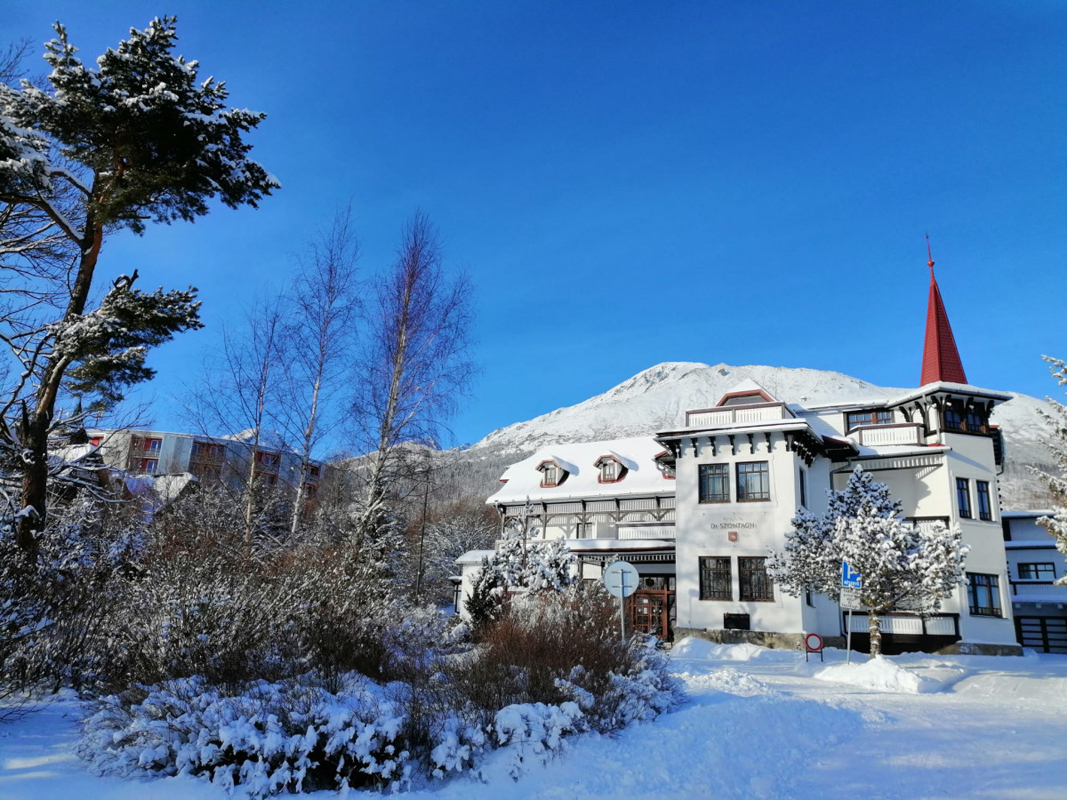 Villa Dr. Szontagh Est1876