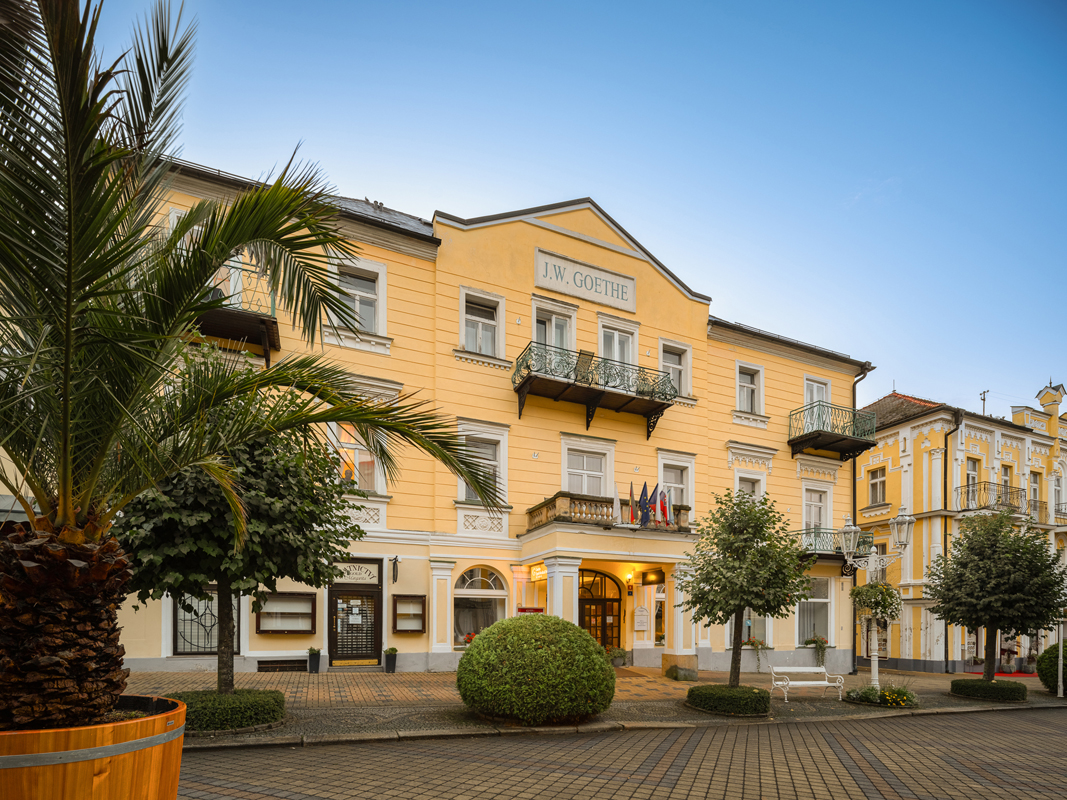 Goethe Spa & Medical Hotel 7