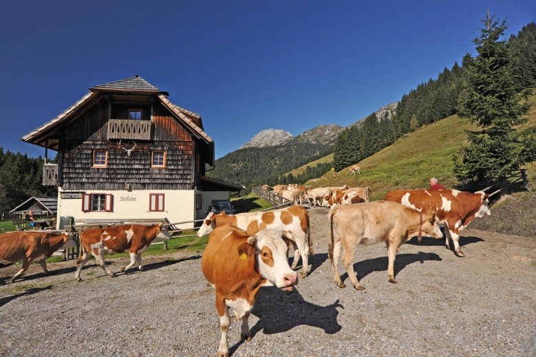 Hotel JUFA Hotel Gitschtal