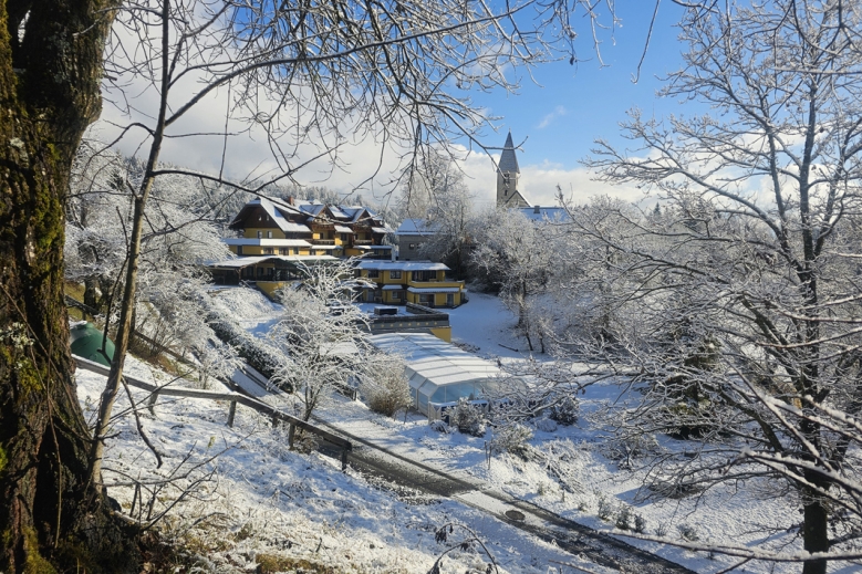 Hotel Hotel Karnischer Hof 