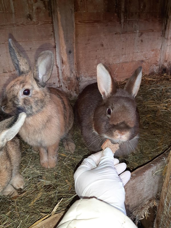 Apartmánový dům Grubermühle  19