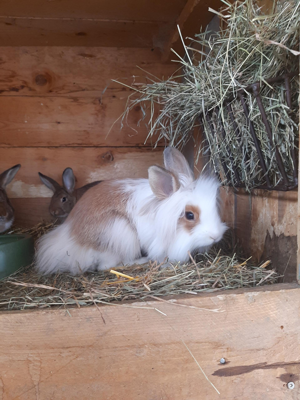 Apartmánový dům Grubermühle  20