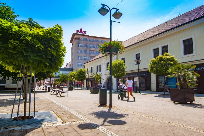 Hotel Hotel Pax dovolená