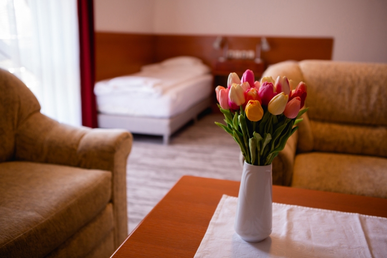 Hotel Hotel Ovit