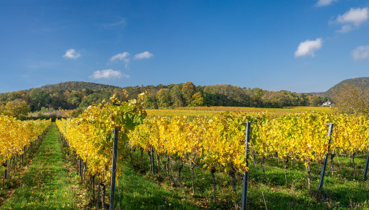 Bike Safari Vídeň - Terst 6