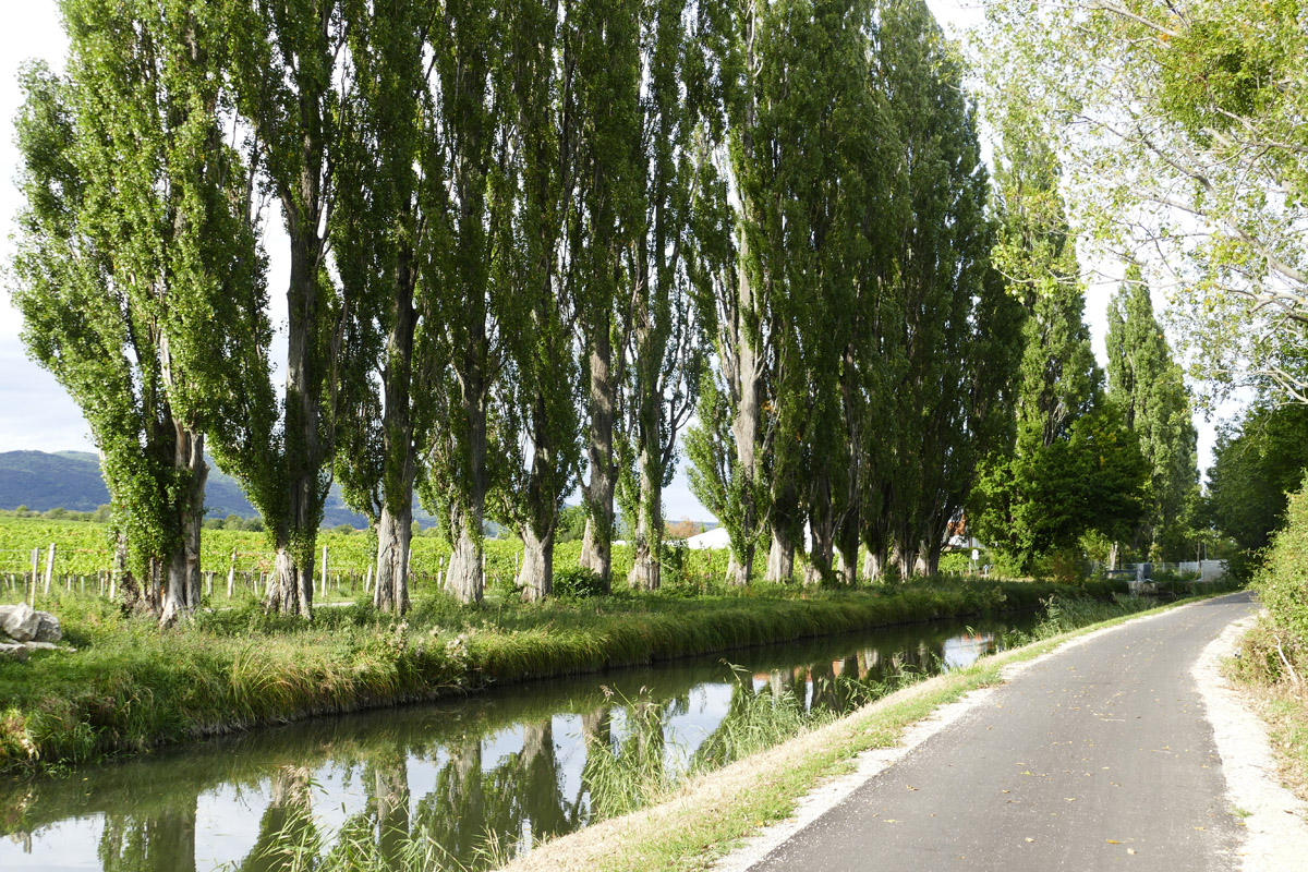 Bike Safari Vídeň - Terst 45