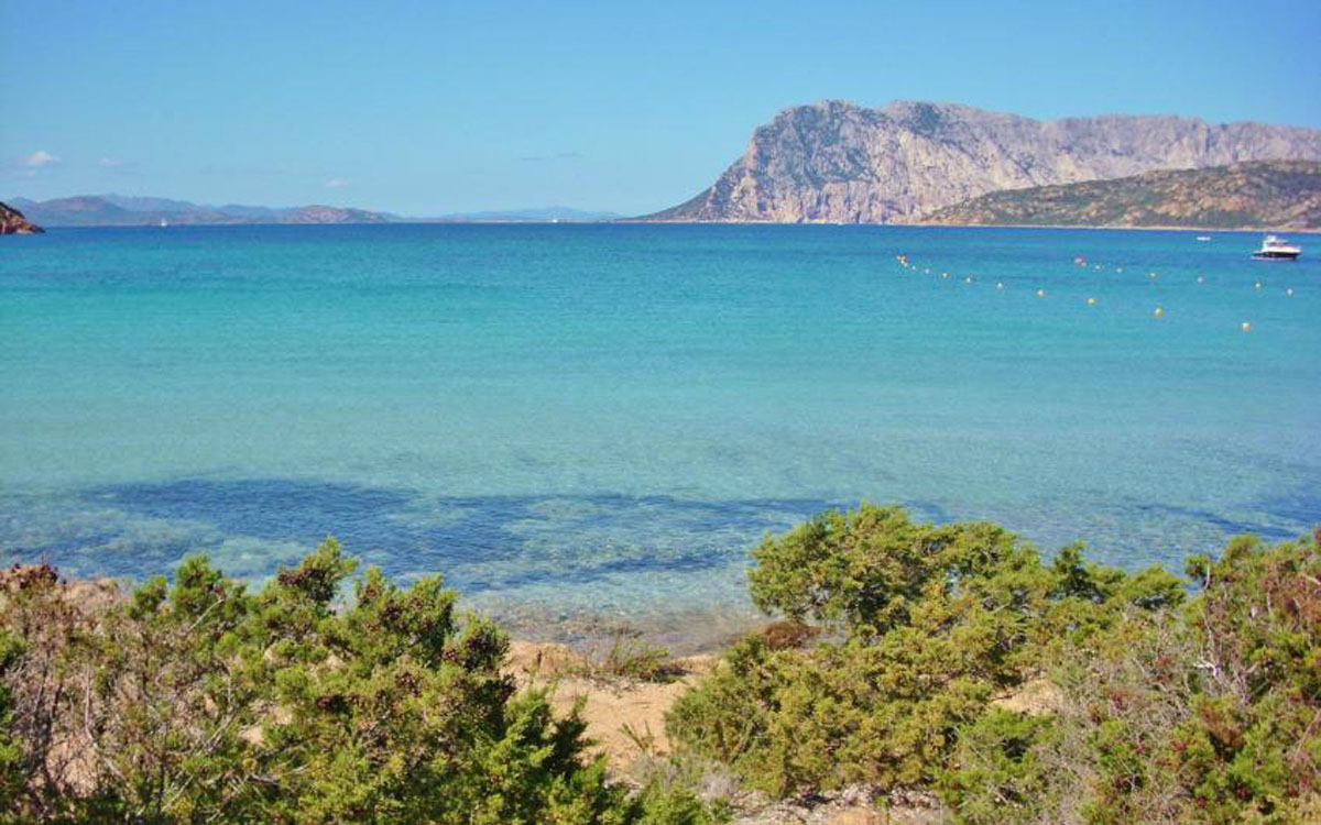 Residence Gallura 15