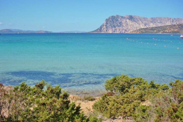 Hotel Residence Gallura