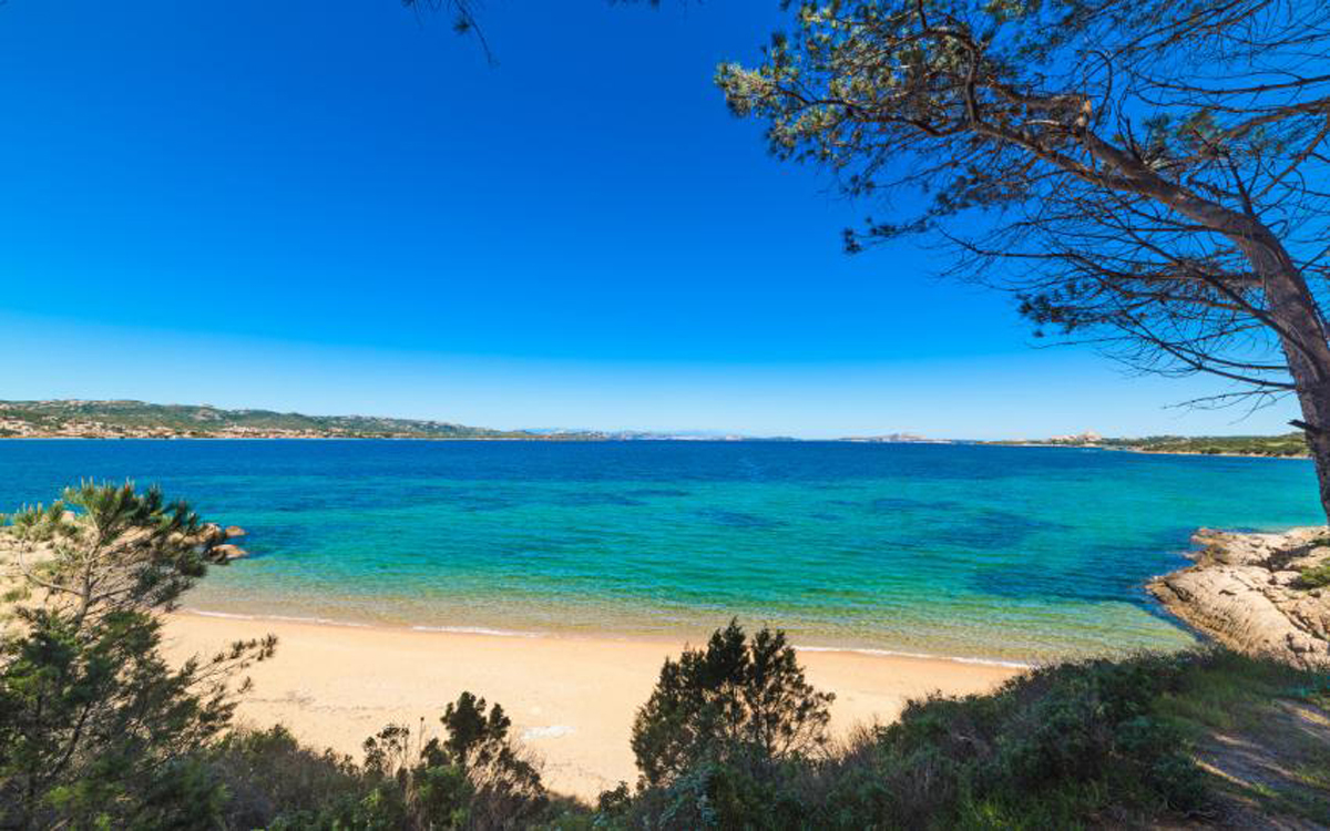 Residence EA Bianca 25