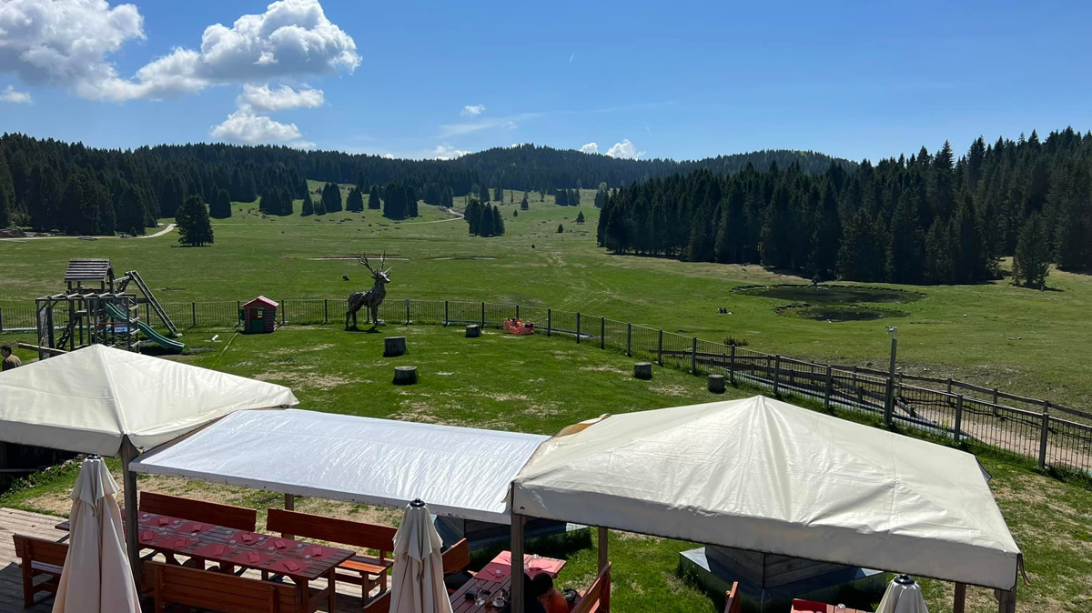 Hotel Malga Millegrobbe  13