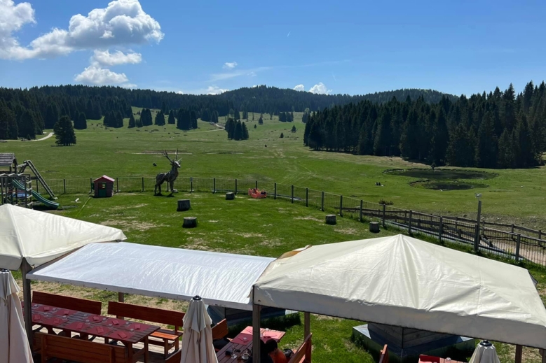 Hotel Hotel Malga Millegrobbe 