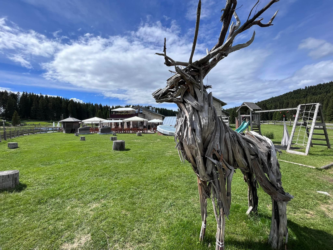 Hotel Malga Millegrobbe  14