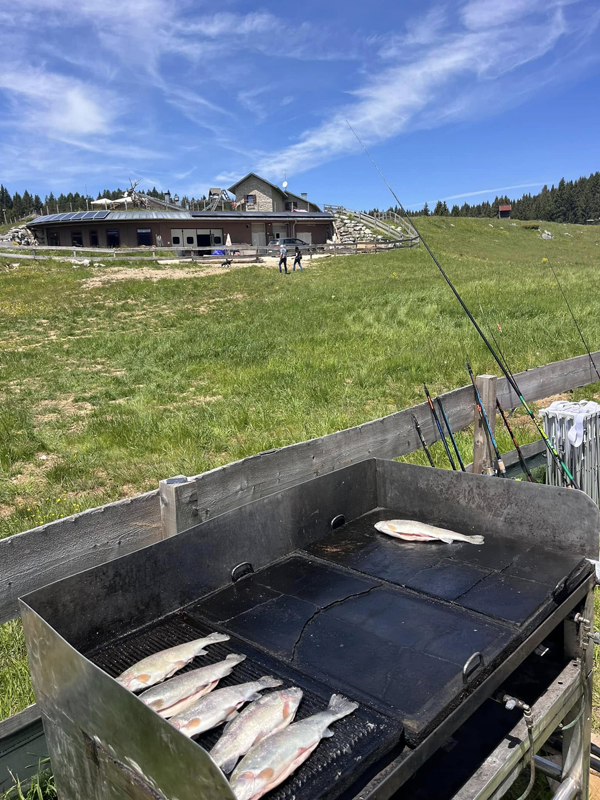 Hotel Malga Millegrobbe  15