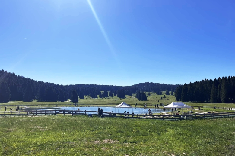 Hotel Hotel Malga Millegrobbe 