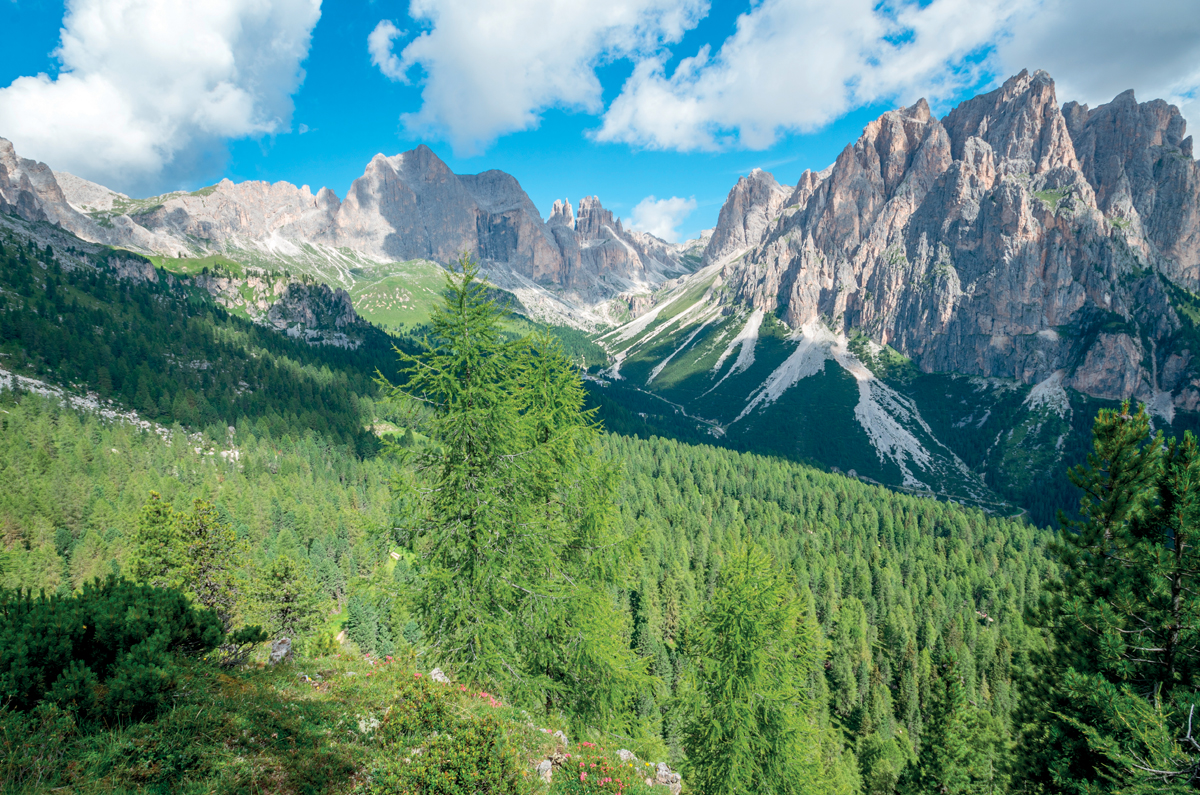 Krásy Dolomit - Alpine Hotel San Valier *** 8