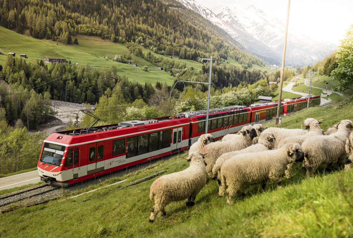 Gotthard, Bernina a Glacier Express / 5