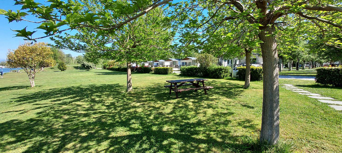 Marina 3B Camping Village 6