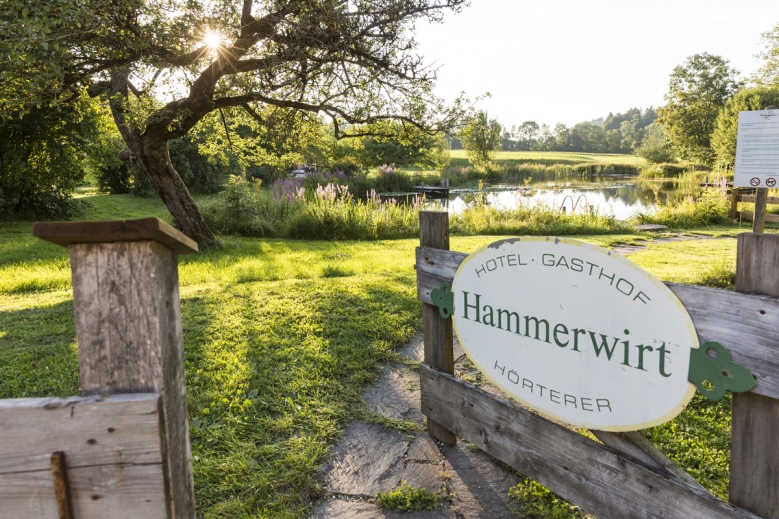 Hotel Hotel Hammerwirt 