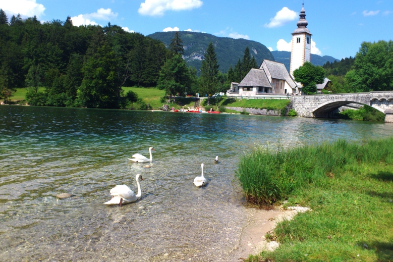 Hotel Hotel Jezero Bohinj