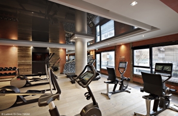Hotel MGM Suites d�Alexane ****