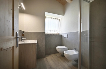 Apartm�ny Alpinea ****