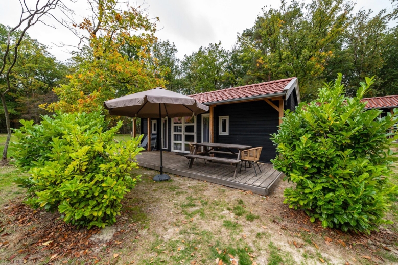Hotel EuroParcs Ruinen dovolená