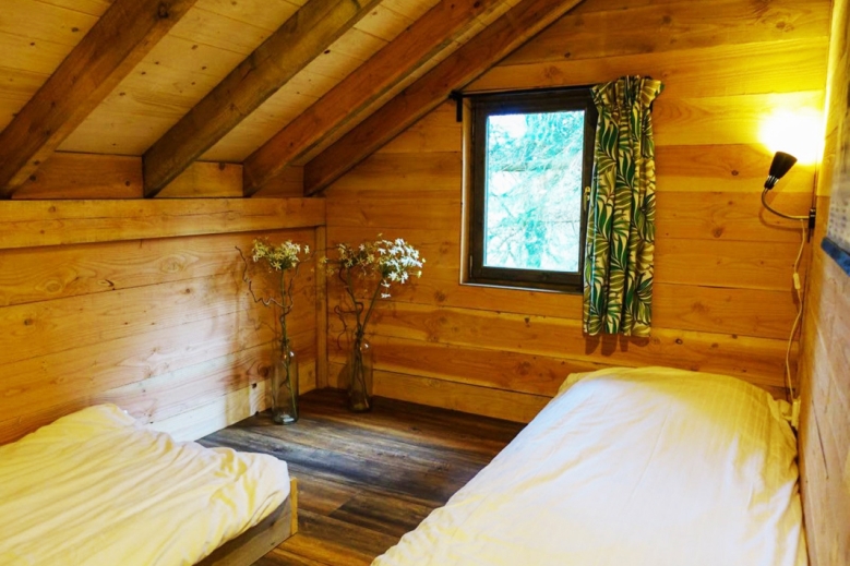 Hotel EuroParcs Ruinen dovolená