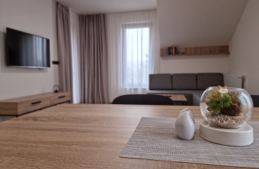 JBX Avenue Lipno se skipasem a wellness