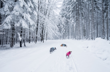 JBX Avenue Lipno se skipasem a wellness